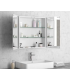 SPECCHIO BAGNO RETTANGOLARE CONTENITORE 800 mm X 600 mm X 145 mm DOPPIA ANTA STRUTTURA ALLUMINIO " ECONOMY100" - 2