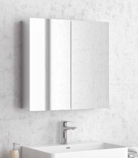 specchio bagno quadrato contenitore 2 ante doppia 60x80x14,5 ap shop online