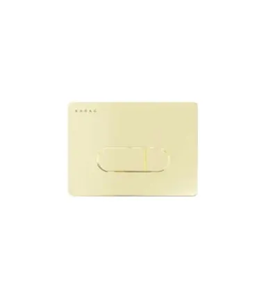 PLACCA DI CONTROLLO SIENA DOPPIO PULSANTE | Karag | AP Shop
