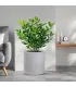Vaso in resina da esterno interno per piante tondo cilindrico di design d.36x35h Modigliani Beige
