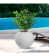 Vaso in resina da esterno interno per piante tondo a sfera di design d.40x33h Botticelli Bianco