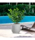 Vaso in resina da esterno interno per piante cilindro di design d.35x34h Raffaello Bianco