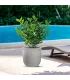 Vaso in resina da esterno interno per piante cilindro di design d.35x34h Raffaello Beige
