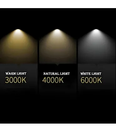 Specchio da bagno retroilluminato reversibile AURORA LED 70x80 Made in Italy