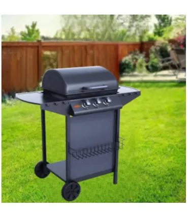 Barbecue a Gas a tre Fuochi I Ap shop